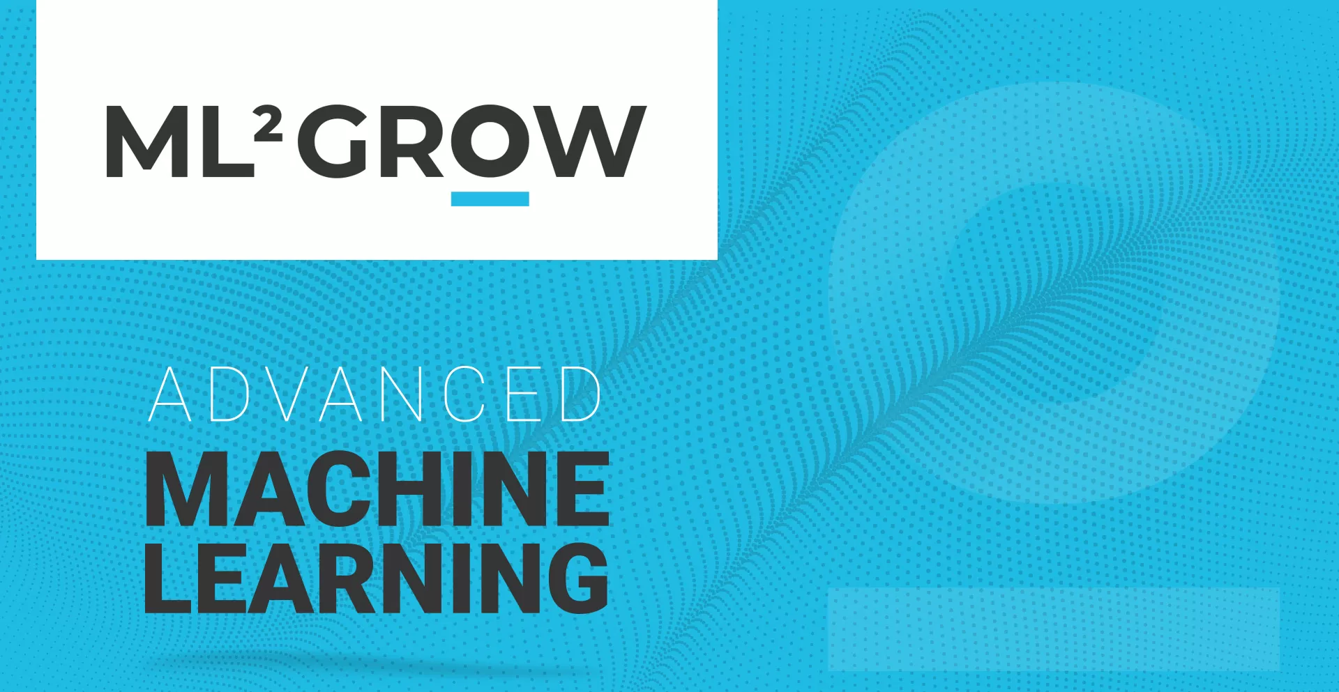 servicii branding pentru ML2 Grow