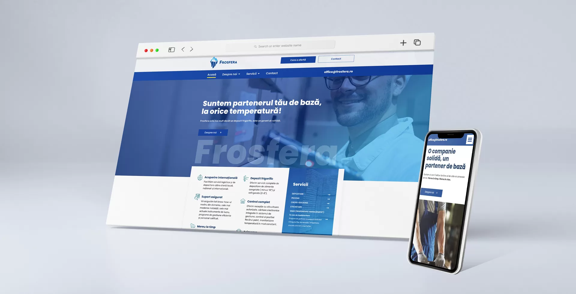 frosfera web design
