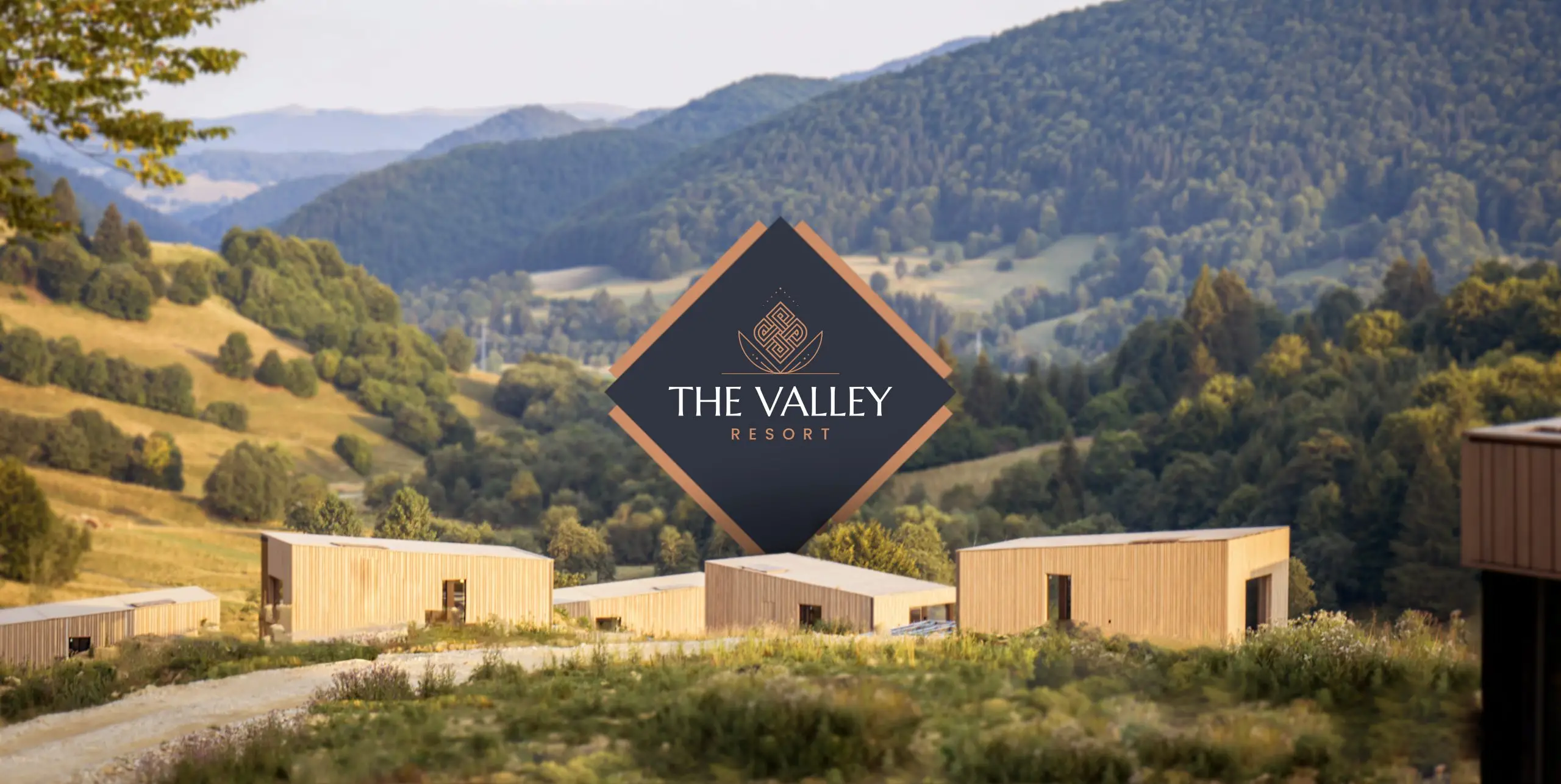 servicii de branding pentru The Valley